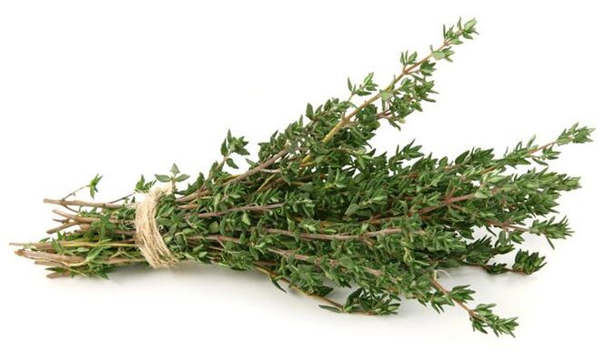 Thymian zur Vergrößerung des Penis